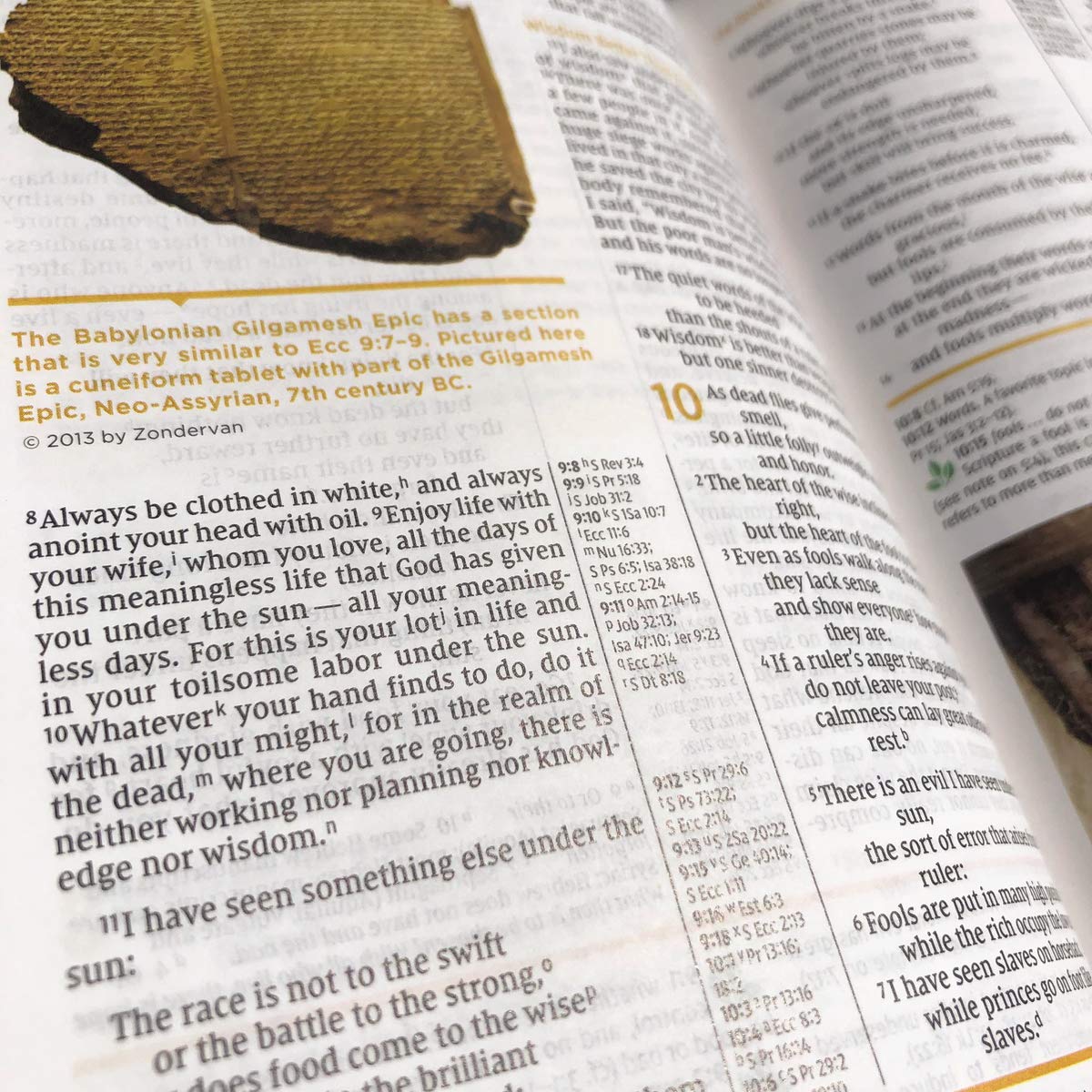 NIV Study Bible Rev HC