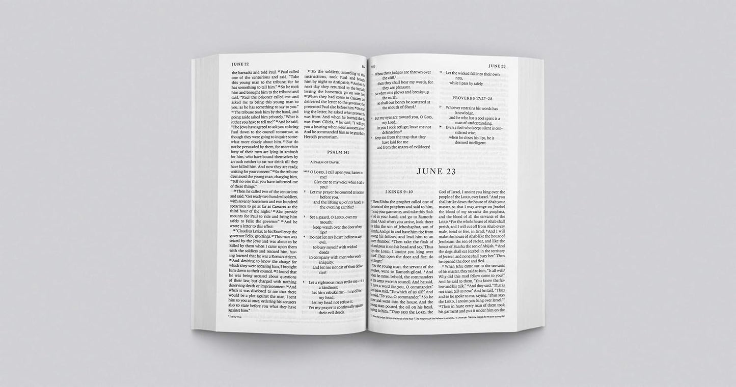 ESV Every Day Bible (Paperback)