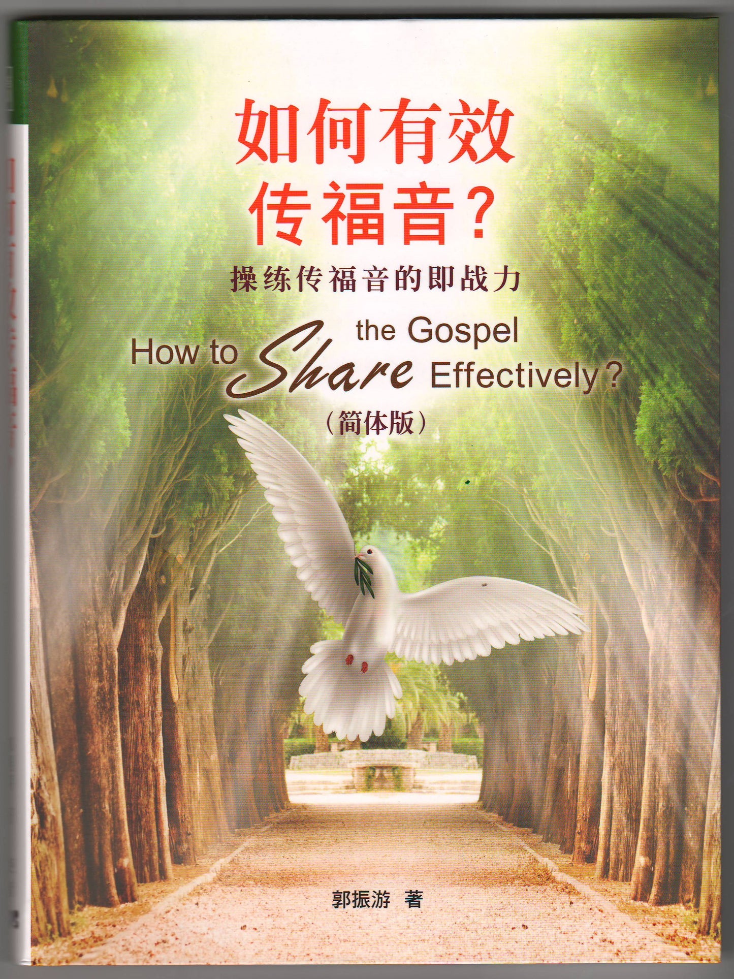 如何有效傳福音?:操練傳福音的即戰力(簡體)