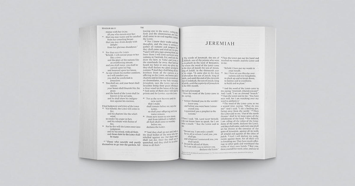 ESV Economy Bible, Giant Print (Paperback)