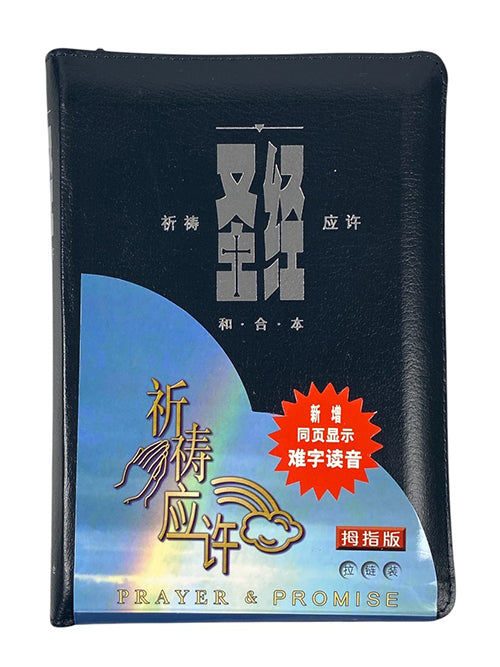 聖經祈禱應許藍拉鍊(簡體)