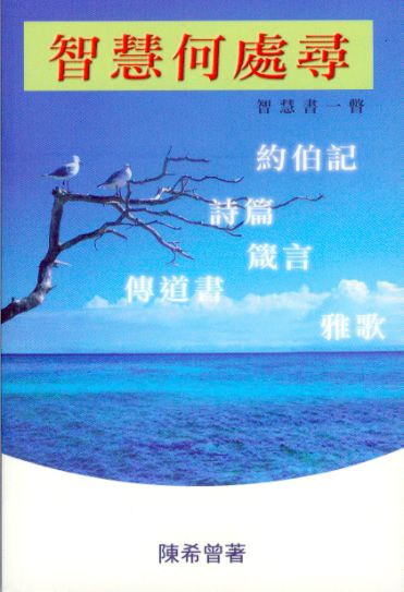 智慧何處尋:智慧書一瞥