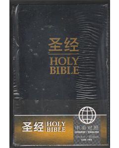 聖經當代譯本新國際版 (簡) (AFC)