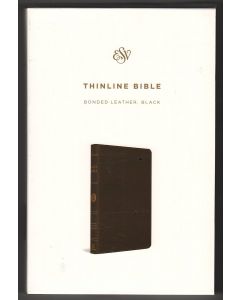 ESV Thinline Bible