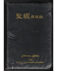 聖經尋根版．原文字典/Chinese Bible with Strong's Concordance Numbers