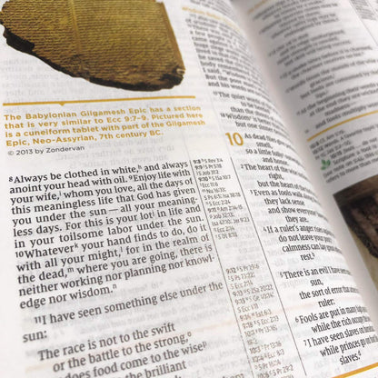 NIV Study Bible Rev HC
