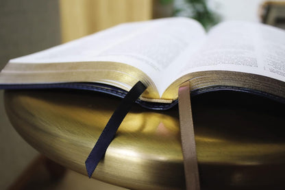 NIV, Thinline Bible, Red Letter, Thumb index