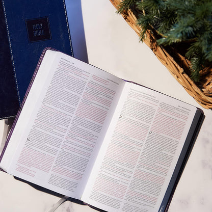 NKJV deluxe gift BIBLE