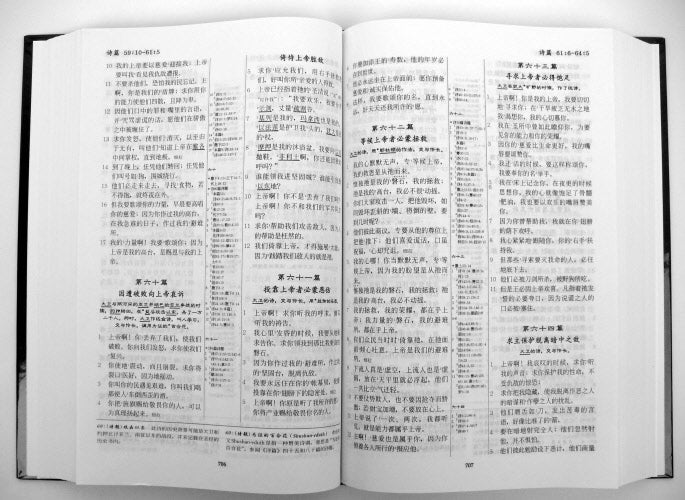 聖經--護教研讀本（簡體）