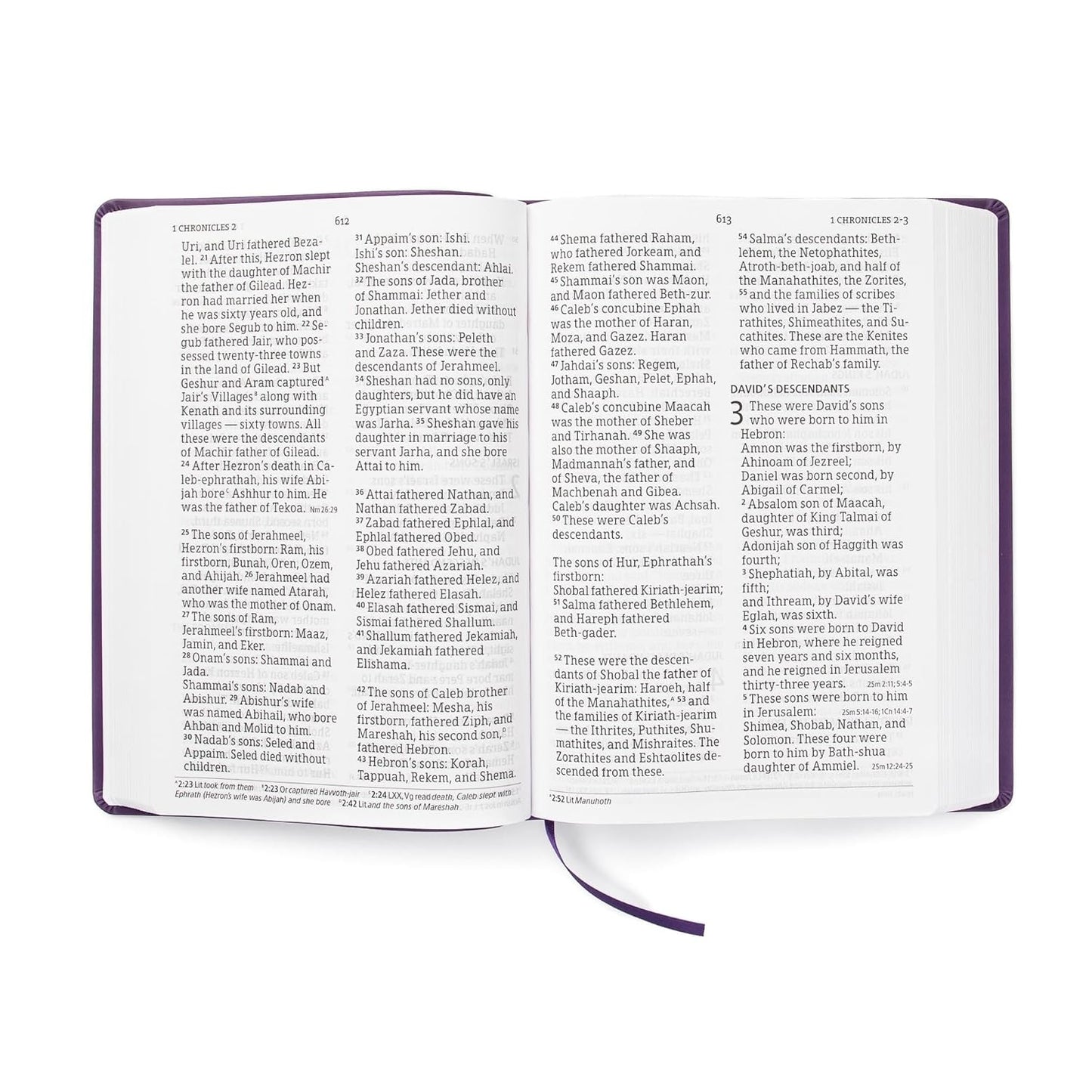 CSB SUPER GIANT Print Personal Size Reference Bible, Purple Leathertouch Indexed
