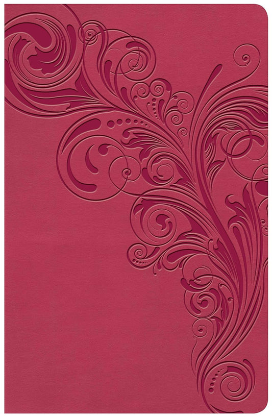 KJV Large Print Personal Size Reference Bible, Pink Leathertouch Indexed