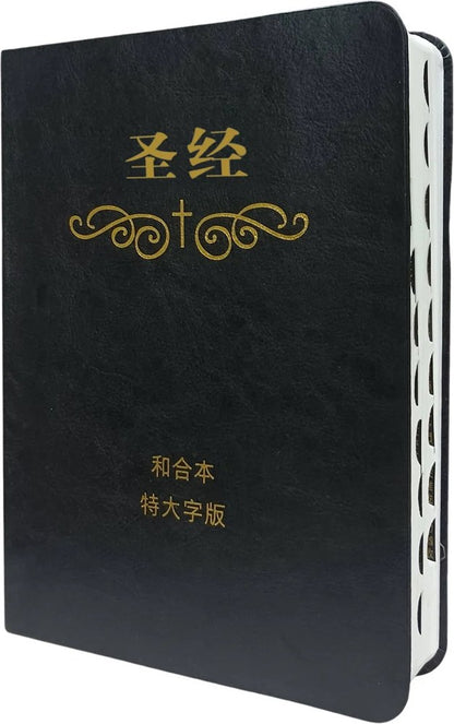 聖經和合本 簡體特大字版