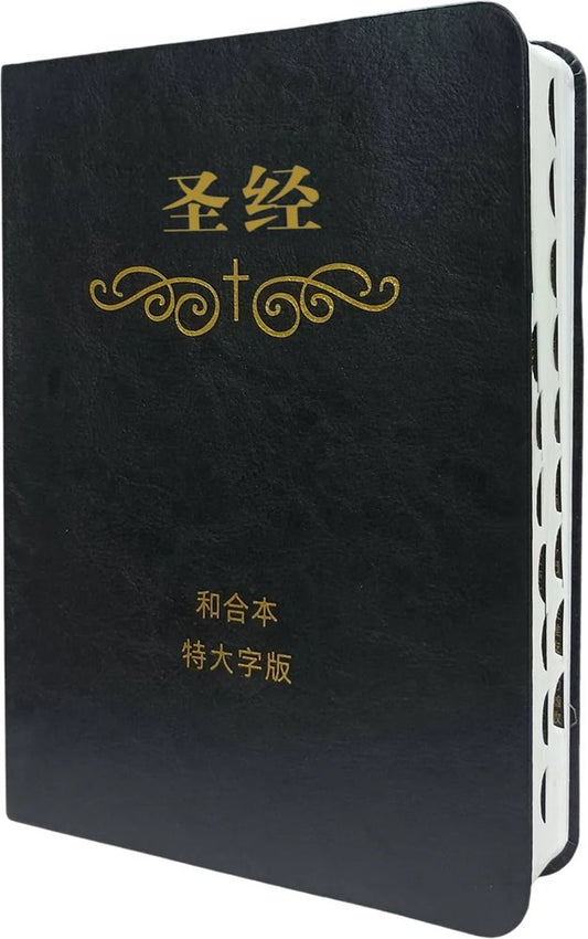 聖經和合本 簡體特大字版