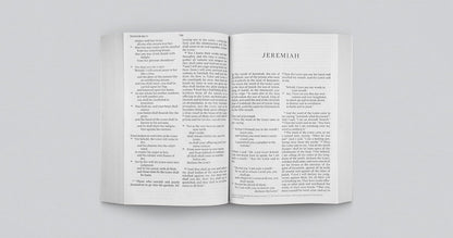 ESV Economy Bible, Giant Print (Paperback)