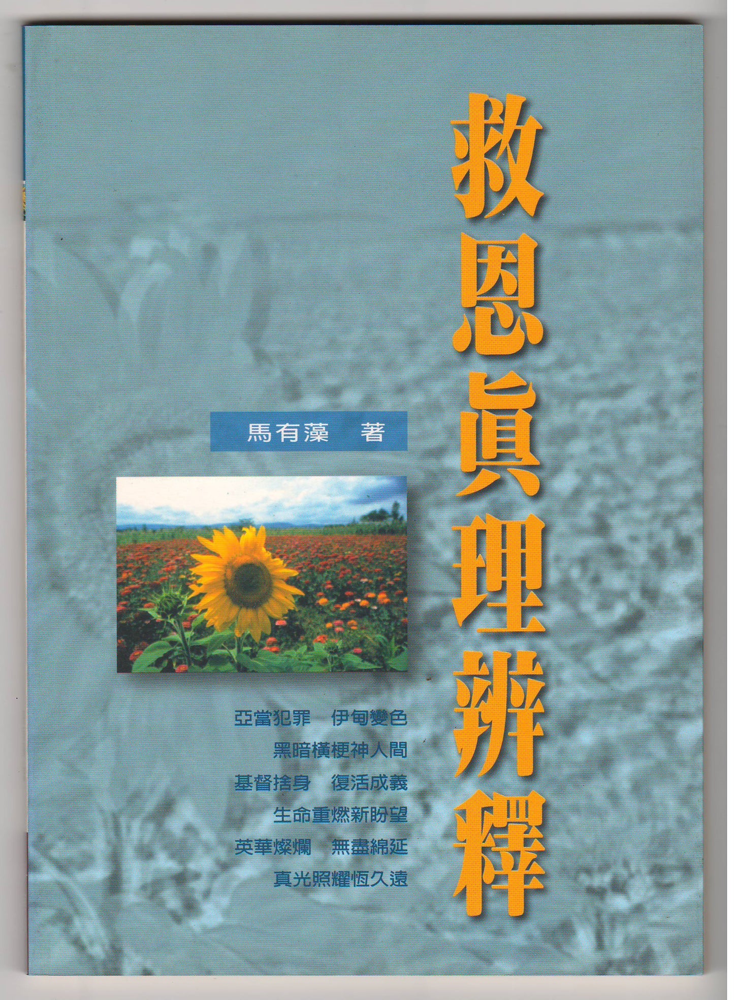 救恩真理辨釋
