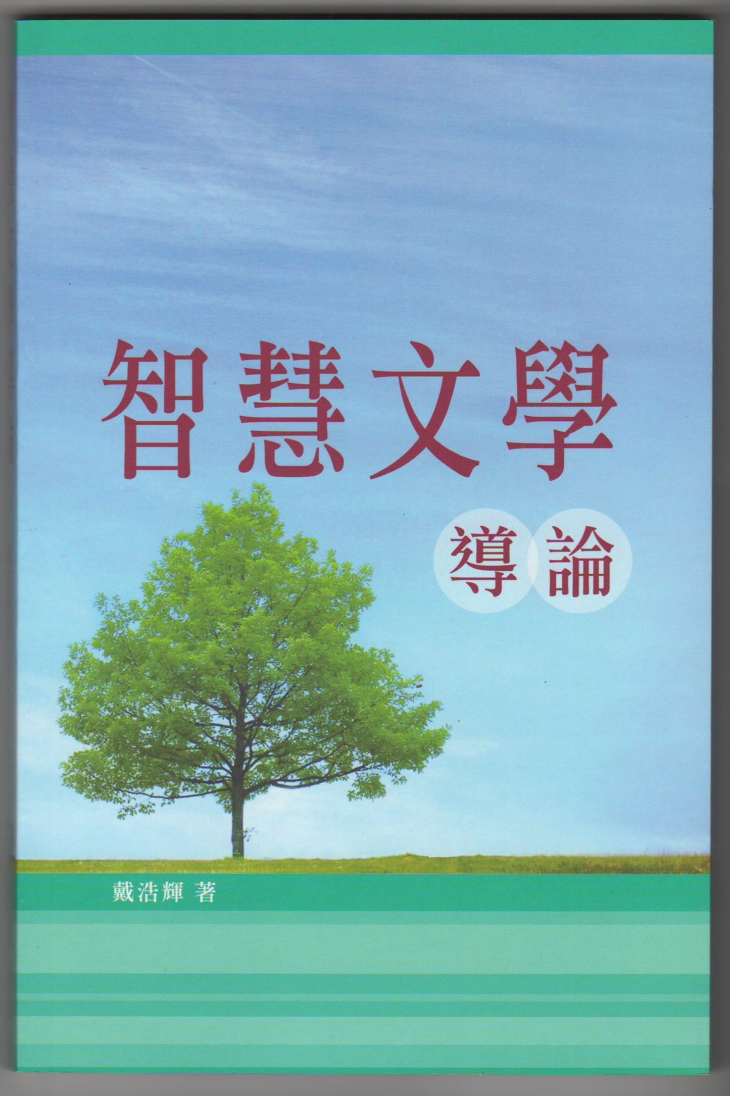 智慧文學導論