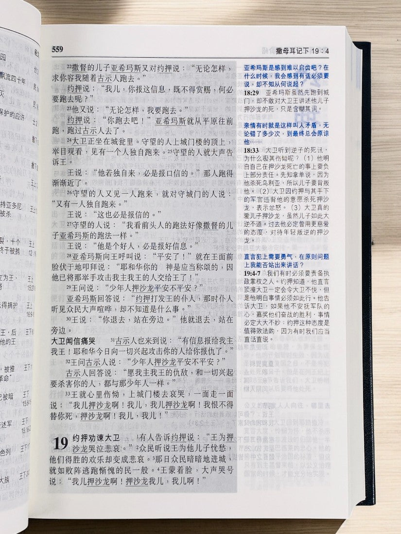 聖經 和合本 靈修版（簡體）