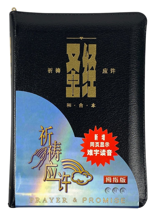 聖經祈禱應許(簡體拉')(黑色