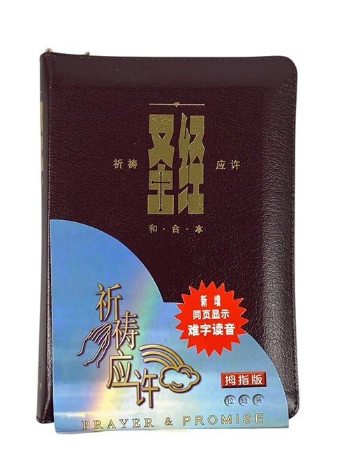 聖經祈禱應許紅拉鍊(簡體)