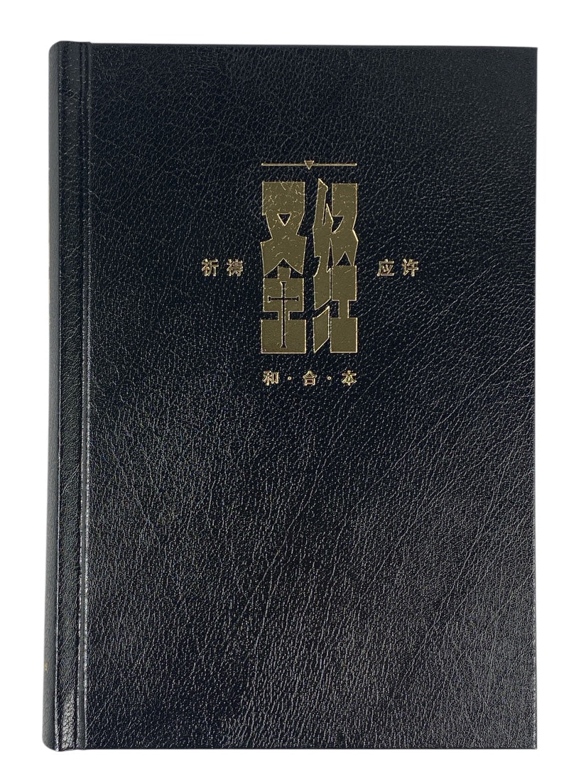 聖經祈禱應許版 黑色