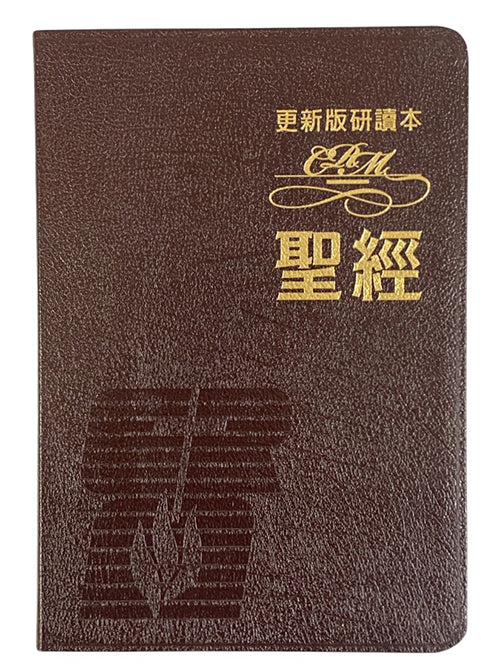 更新版研讀本聖經(豪華版)紅