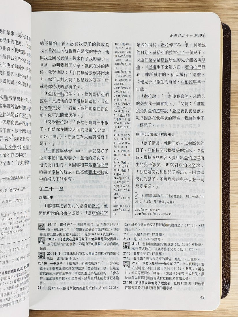 更新版研讀本聖經(豪華版)紅