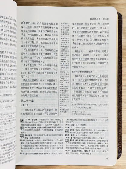 更新版研讀本聖經(豪華版)紅