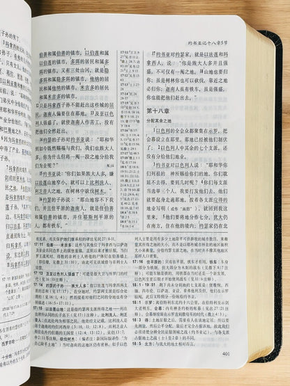 更新版研讀本 簡體 (豪華版)