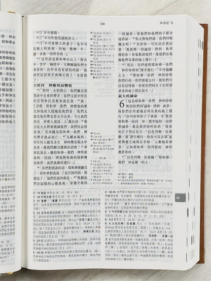 麥克阿瑟註釋聖經（繁體）