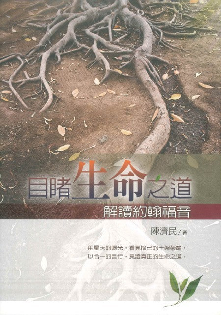 目睹生命之道:解讀約翰福音 – 恩福書室 CCICAN BOOK STORE