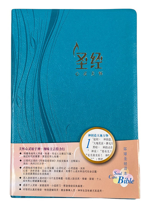 環球聖經譯本（簡體.心靈關懷.金邊.藍）