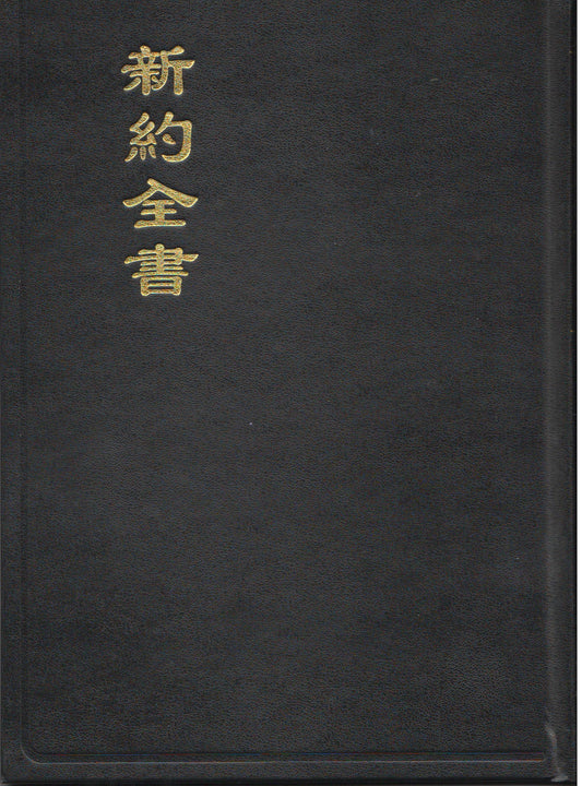 聖經-新約和神-大字