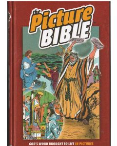 The Picture Bible-hard