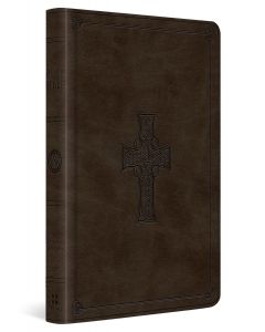 ESV Large print value thinline Bible