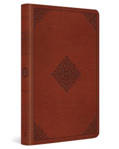 ESV Large Print Value Thinline Bible
