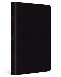ESV Large Print Value Thinline Bible