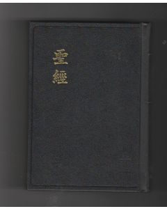 聖經-新標點和合本（神版）CuNP53A