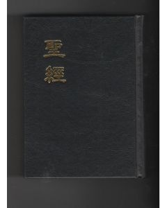 聖經-現代標點:浸神