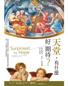 天堂有什麼好期待/Surprised by hope