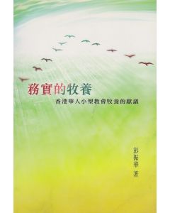 務實的牧養：香港華人小型會牧養的獻議