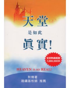 天堂是如此真實/Heaven is So Real