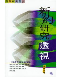 新約研究透視