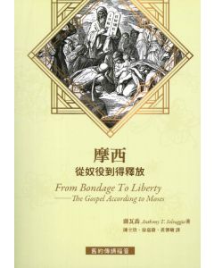 摩西從奴役到釋放
